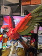 Life size Macaw